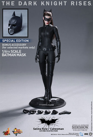 Illustration for article titled This Isn't a Photo, It's a Catwoman Action Figure